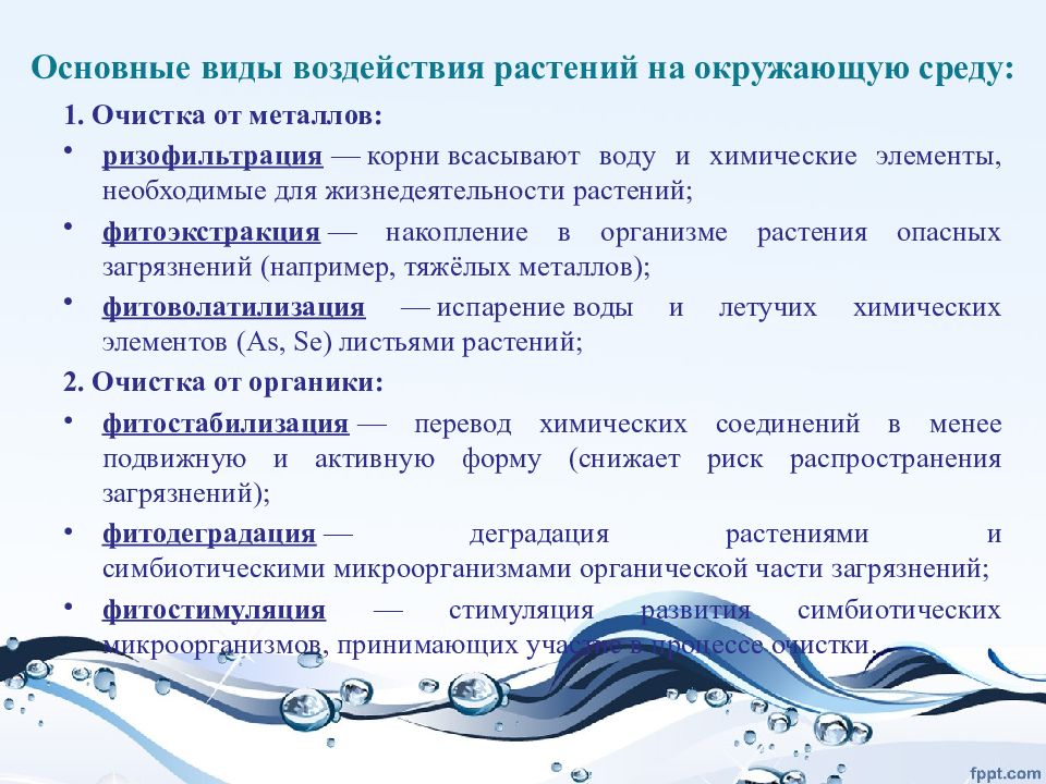 влияние окружающей среды на растения. воздействие человека на растения. влияние среды на растения. косвенное влияние растений друг на друга. влияние растений на окружающую среду.