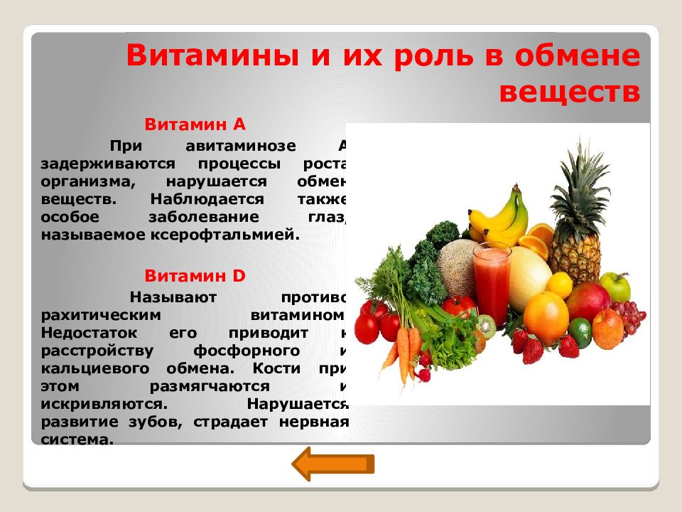 Витамины для обмена веществ для женщин