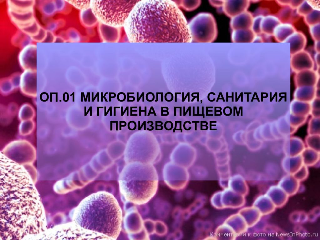 ОП.01 МИКРОБИОЛОГИЯ, САНИТАРИЯ И ГИГИЕНА В ПИЩЕВОМ ПРОИЗВОДСТВЕ