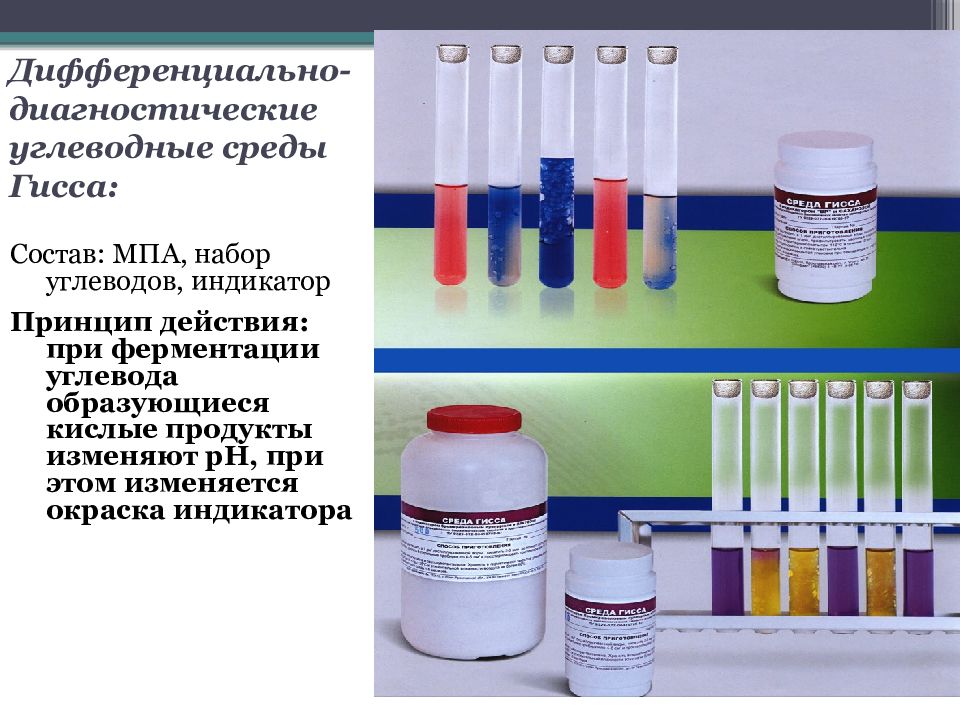 Дифференциально диагностические. Дифференциально-диагностические среды Гисса. Дифференциально-диагностические питательные среды примеры. Питательные среды Гисса. Дифференциально- диагностические среды принцип действия.