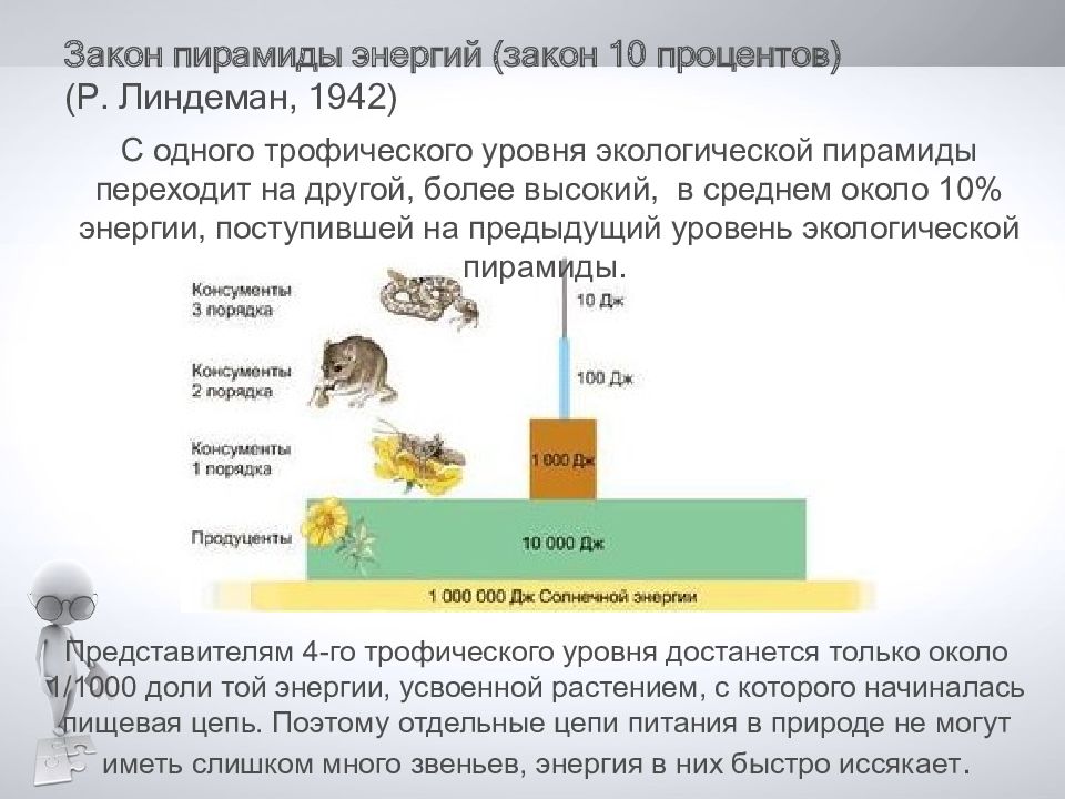 Закон линдемана. Пирамида Линдемана экологическая. Закон пирамиды энергии. Закон пирамиды энергии Линдемана. Экологическая пирамида 10 процентов.