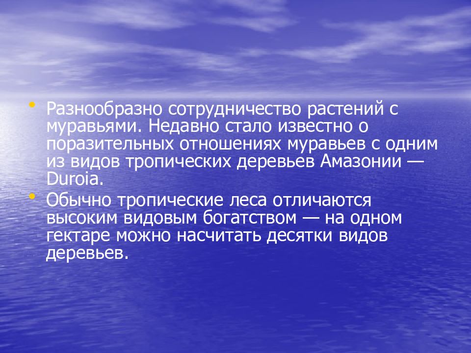 Какие факторы увеличивают видовое богатство сообщества