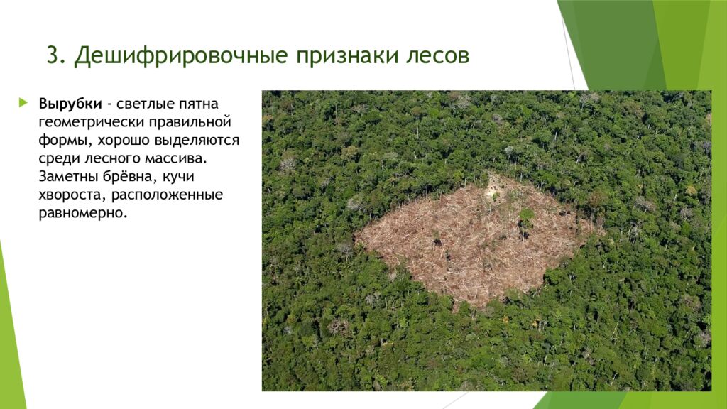 3. Дешифрировочные признаки лесов