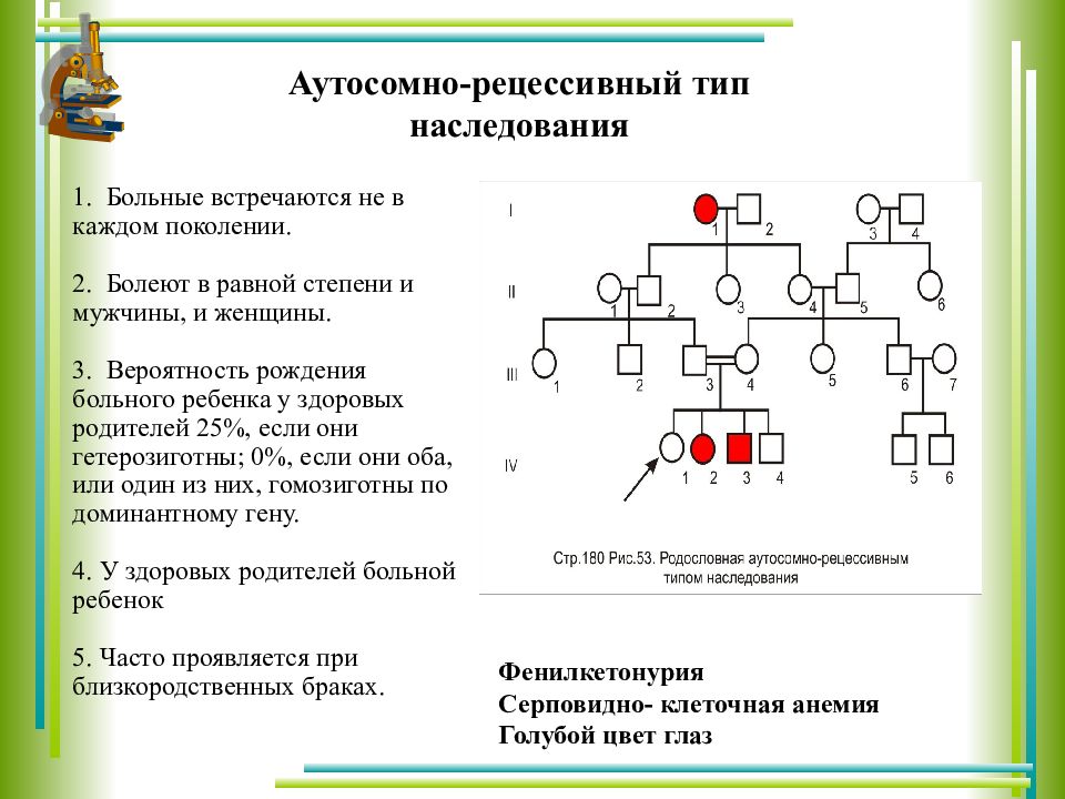 По схеме родословной определите тип наследования