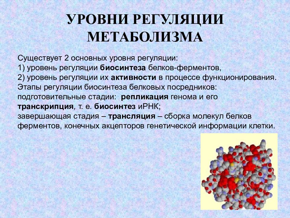 Уровни регуляции. Регуляция метаболизма у микроорганизмов. Уровни регуляции метаболизма. Принципы регуляции метаболизма микроорганизмов. Уровни и принципы регуляции метаболизма.