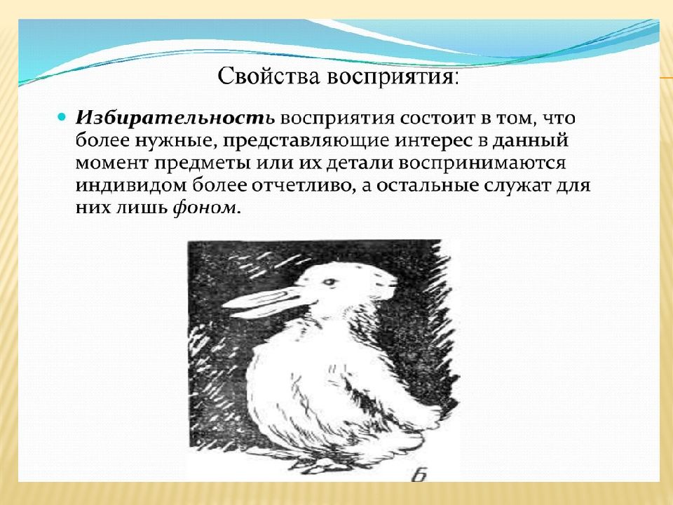 Как называется свойство восприятия позволяющее увидеть то что изображено на картинке