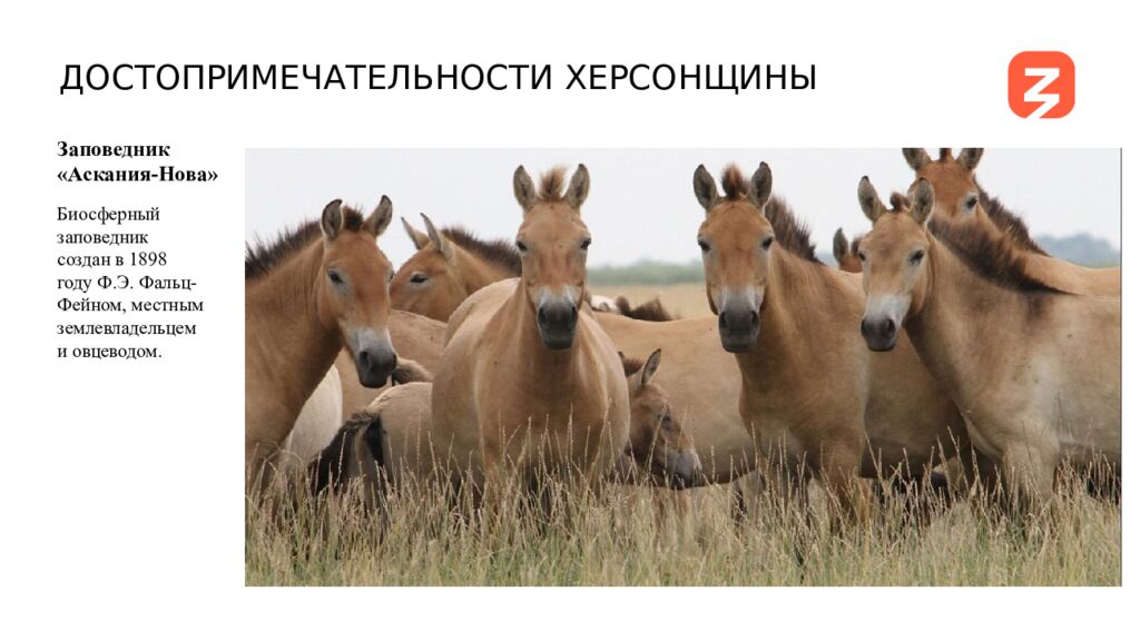 ЗОЛОТОЙ БЕРЕГ