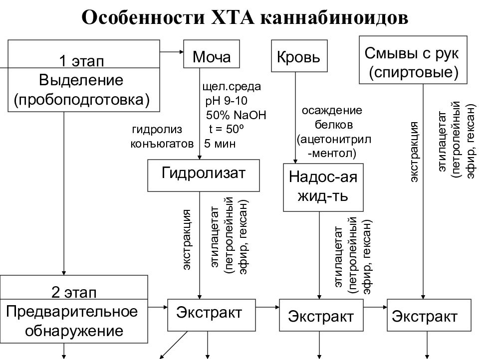 хта химико токсикологический анализ.