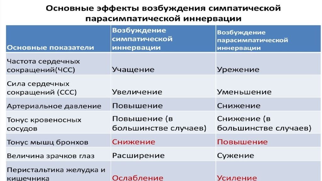 Птицы подготовка к егэ презентация