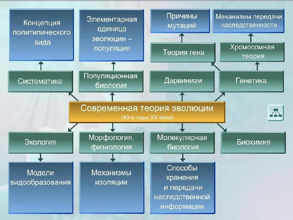 Элементарные факторы эволюции презентация