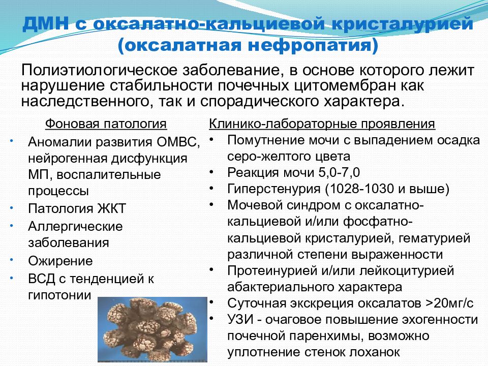 Оксалатно-кальциевой кристаллурией. Наследственные нефропатии у детей. Нефриты у детей презентация. Оксалатная нефропатия диагностика.