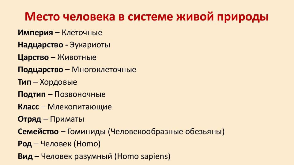 Систематика человека место человека в системе животного мира презентация