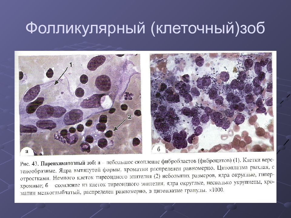 Оспа микробиология презентация