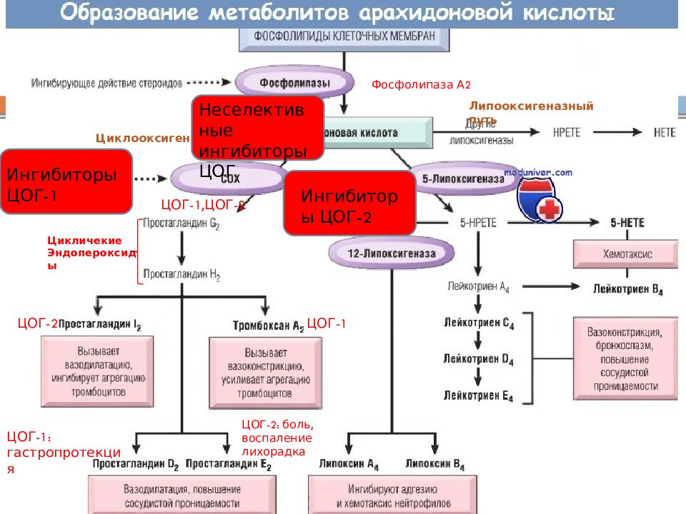 Нпвс презентация фармакология