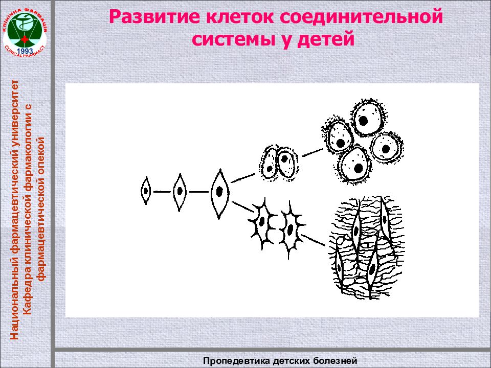 Развитие клетки картинка