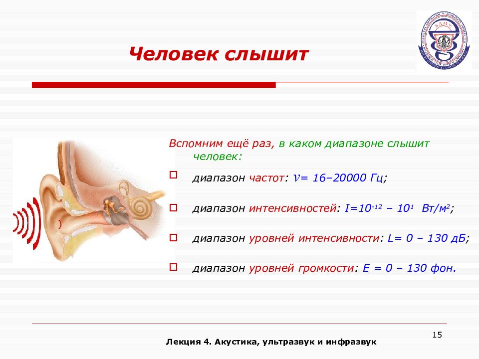 В каком звуковом диапазоне слышит человек. В каком диапазоне слышит человек. Какие частоты слышит человек. Диапазон человеческого уха. Какой диапазон частот слышит человек.