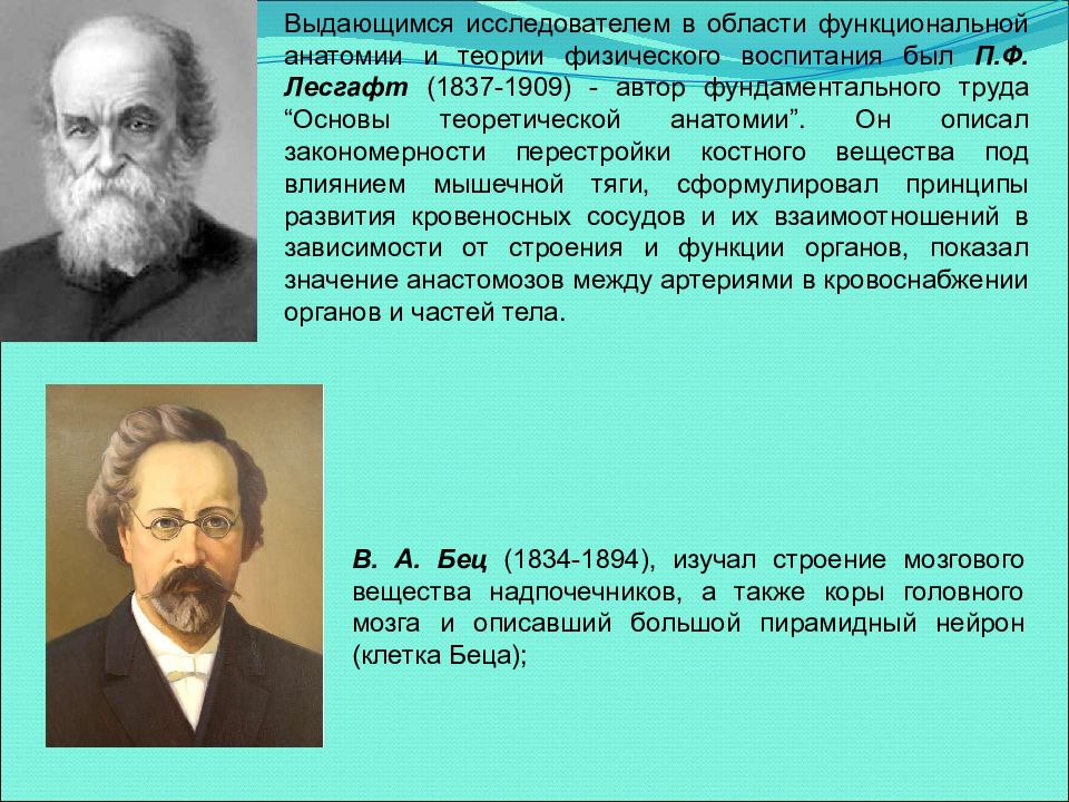 Теории физиков. Выдающиеся ученые в области анатомии. Исследователи теории физического воспитания. Основы теоретической анатомии Лесгафт. Назовите исследователей теории физического воспитания.