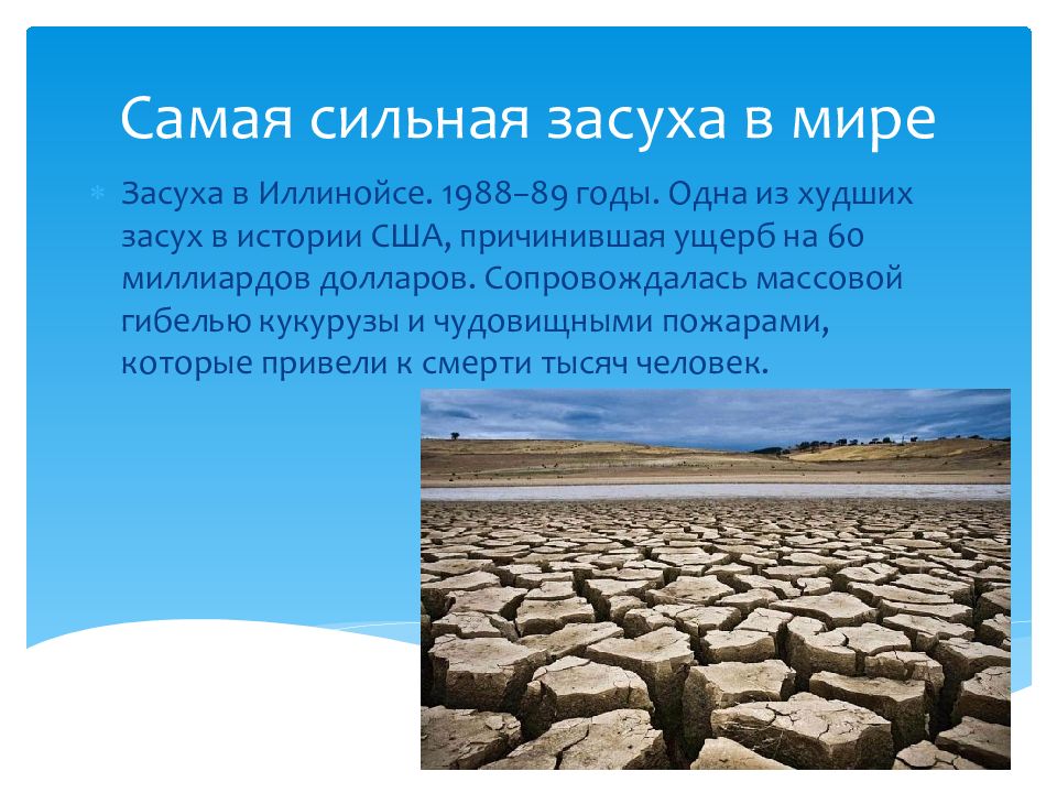 засуха индия 2012. пустыня сахель. самая сильная засуха. сахель опустынивание. африканская саванна в засуху.