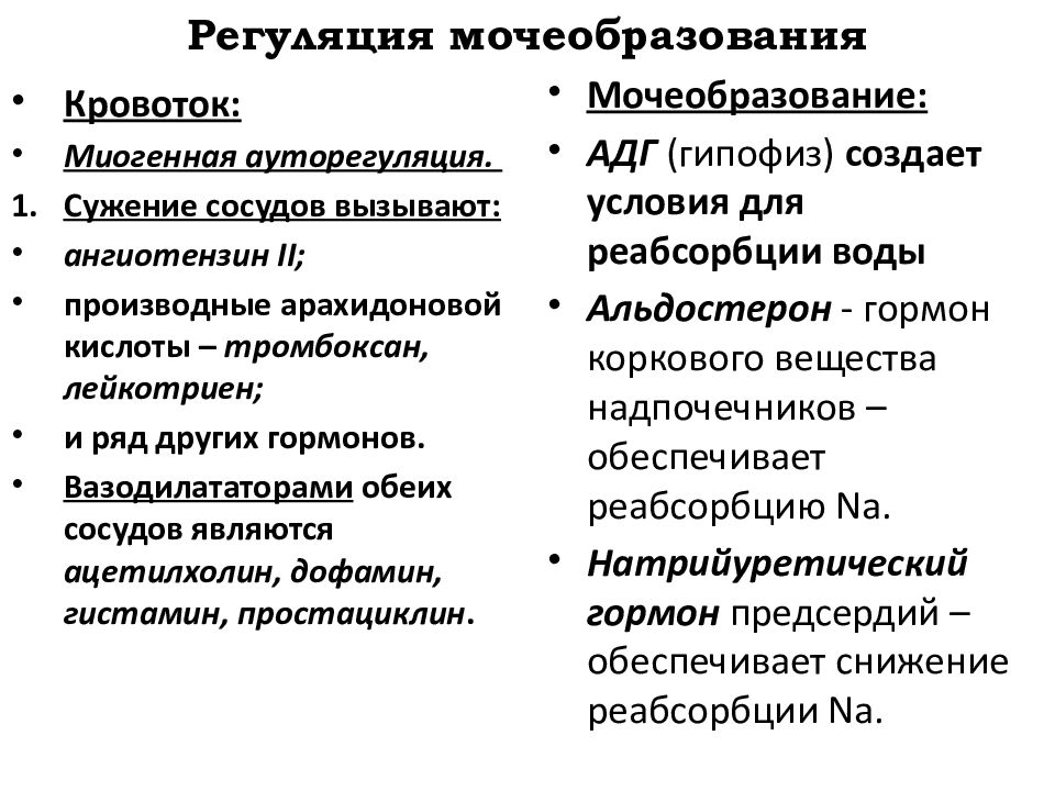 Процесс мочеобразования презентация