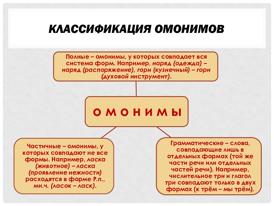 Являются ли омонимами выделенные слова почему. Классификация омонимов. Функции омонимов. Омонимия классификация омонимов. Функции омонимов в русском языке.