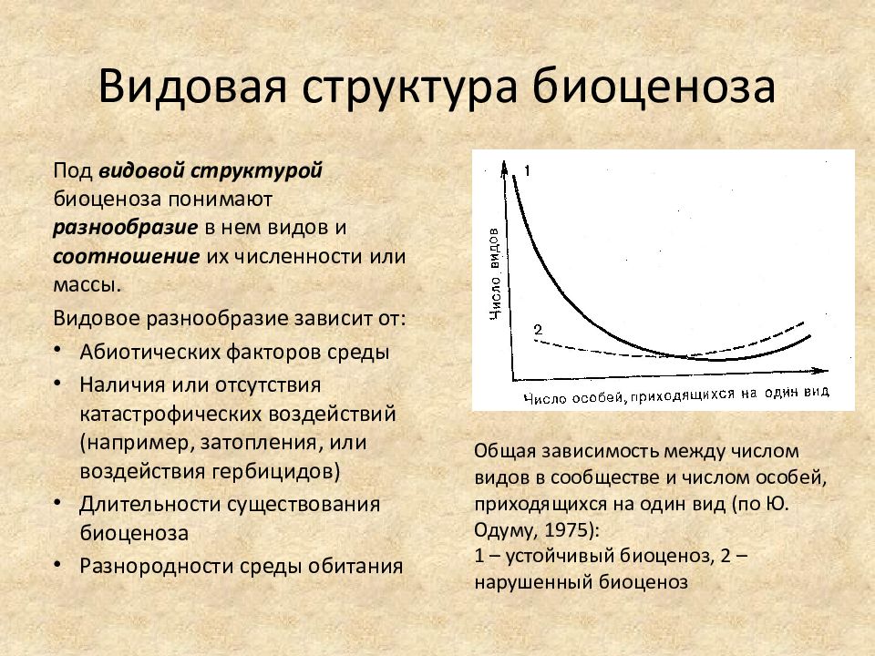 Пространственная структура биоценоза презентация