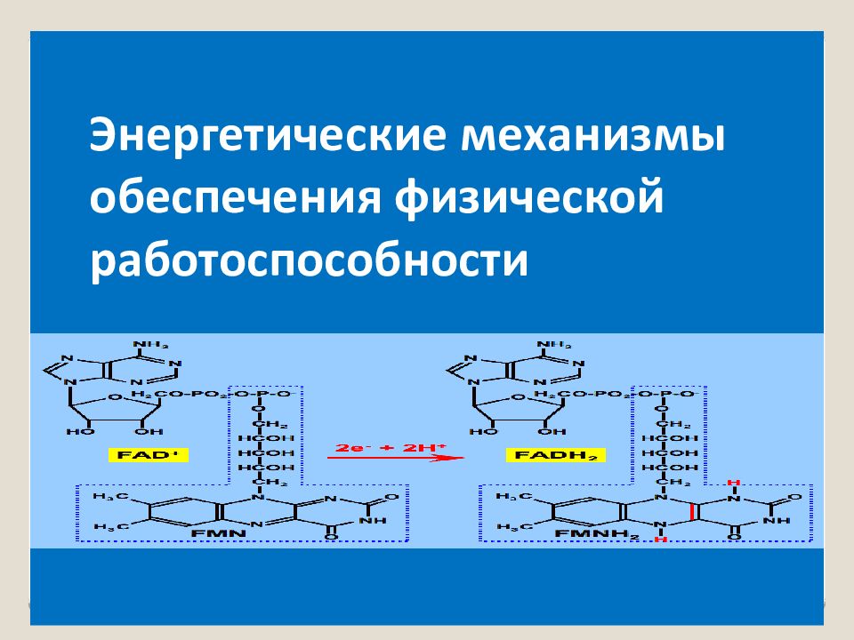 Физическое обеспечение. Энергетический механизм это. Энергетический механизм возникновения заболевания.