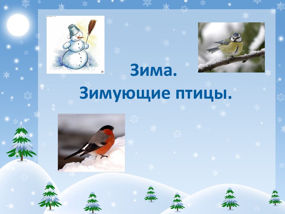 1 класс окружающий мир где зимуют птицы презентация 1 класс окружающий мир