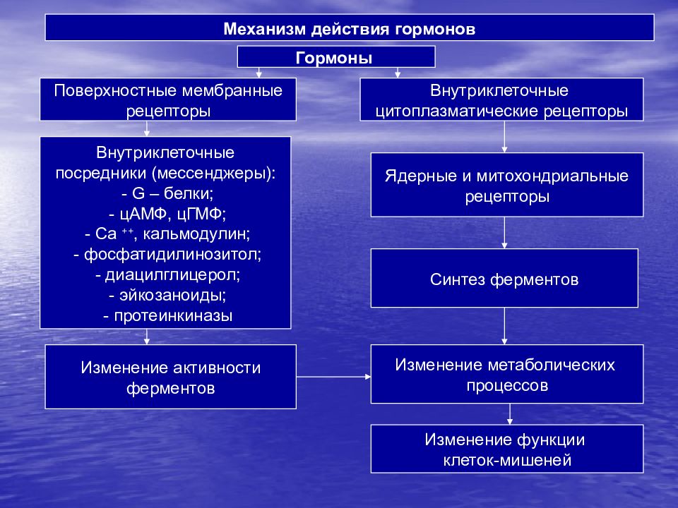 Механизм действия гормонов. Механизм действия гормонов патофизиология. Нейроэндокринная система патофизиология. Строение нейроэндокринной системы патофизиология. Диацилглицерол механизм действия.