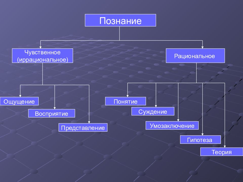 Запишите слово пропущенное в схеме формы познания понятие суждение умозаключение