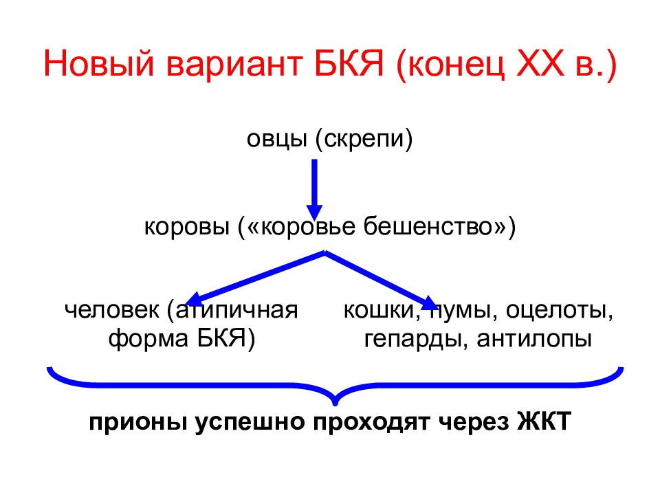 Онкогенные вирусы презентация