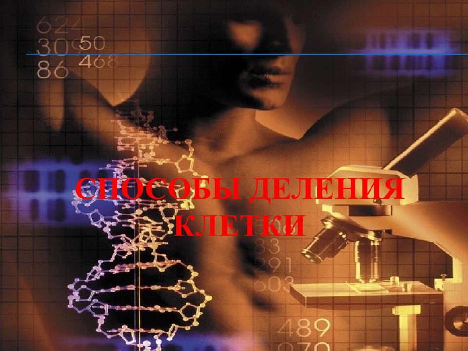 Способы деления клетки
