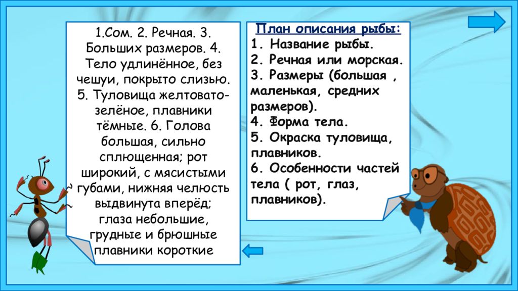 Описать по плану. План описания рыбы. План описания рыбы 1 класс. Описание рыбы по плану. Описания рыбы по плану окружающий.