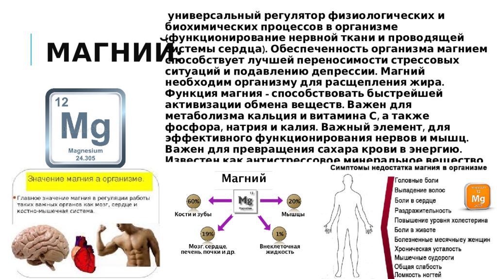 Магний для организма. Магний в организме человека презентация. Магний нахождение в организме. Магний в теле человека. Физиологическая роль магния в организме.