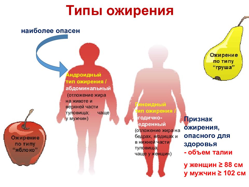 Ожирение патофизиология презентация