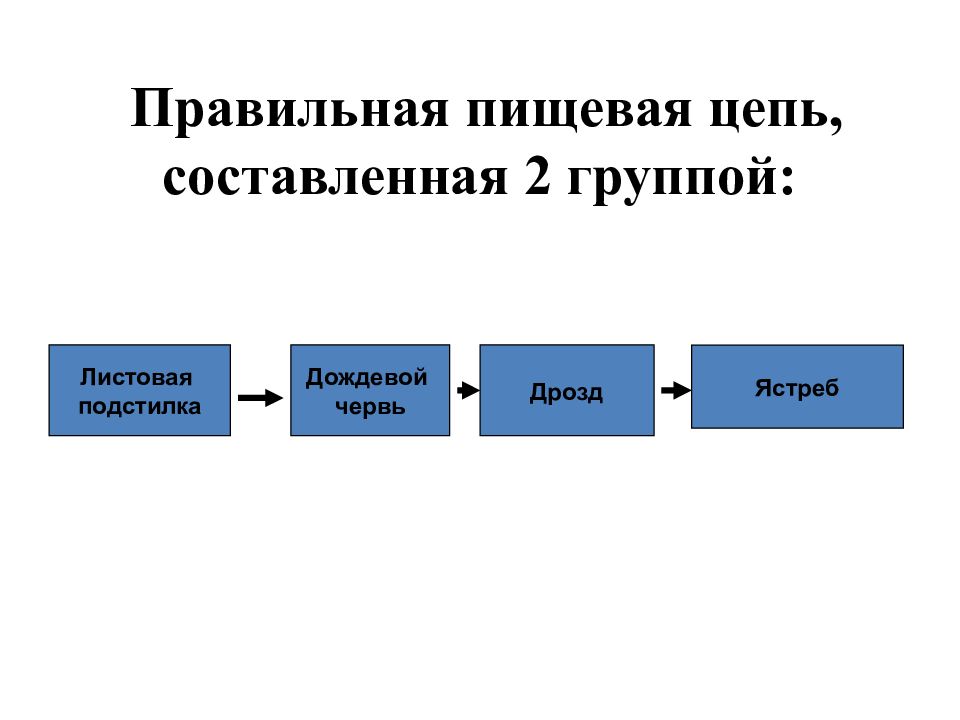 Презентация потоки вещества и энергии в экосистеме 9 класс биология