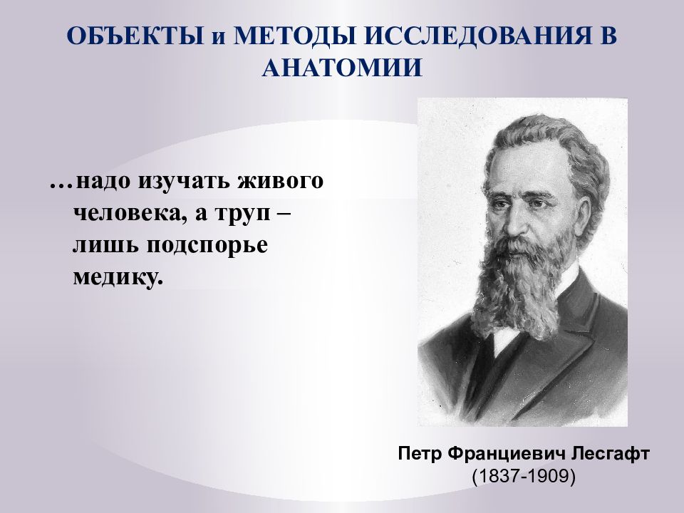 История развития анатомии. История развития анатомии животных. Лесгафт - поэт анатомии. Ведущие методы формирования анатомических. Цитата об анатомии пейзажа.