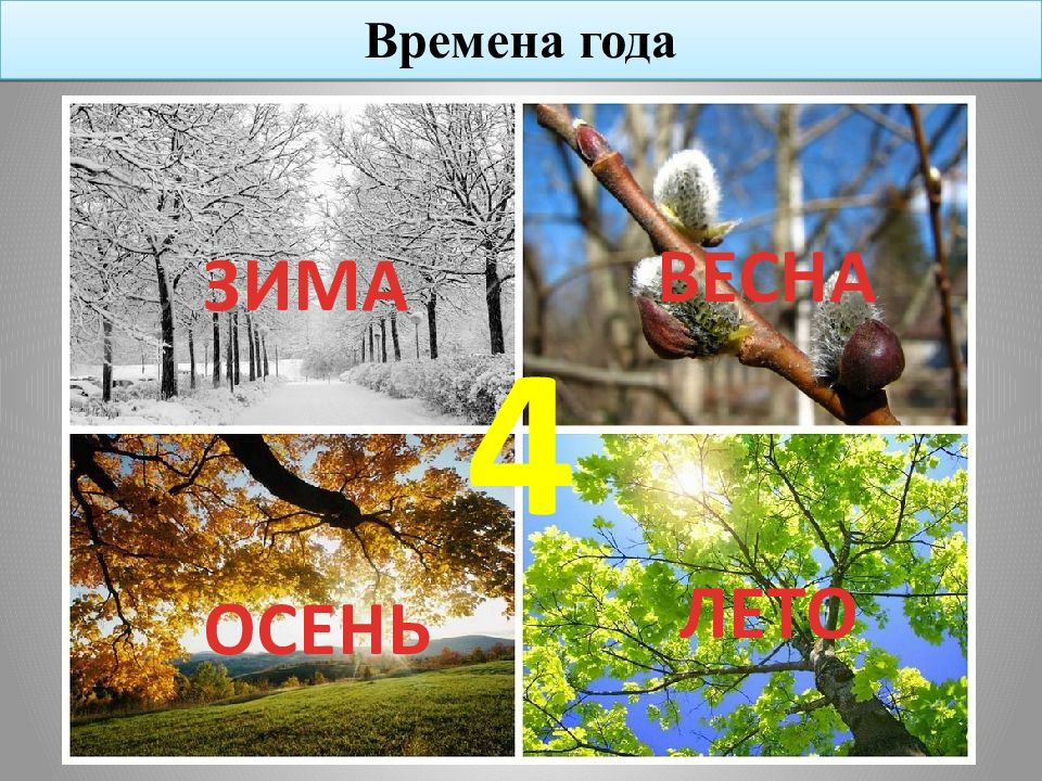 Дата время года. Времена года презентация. Времена года названия. Слайд времена года. Презентация на тему зима Весна лето осень.