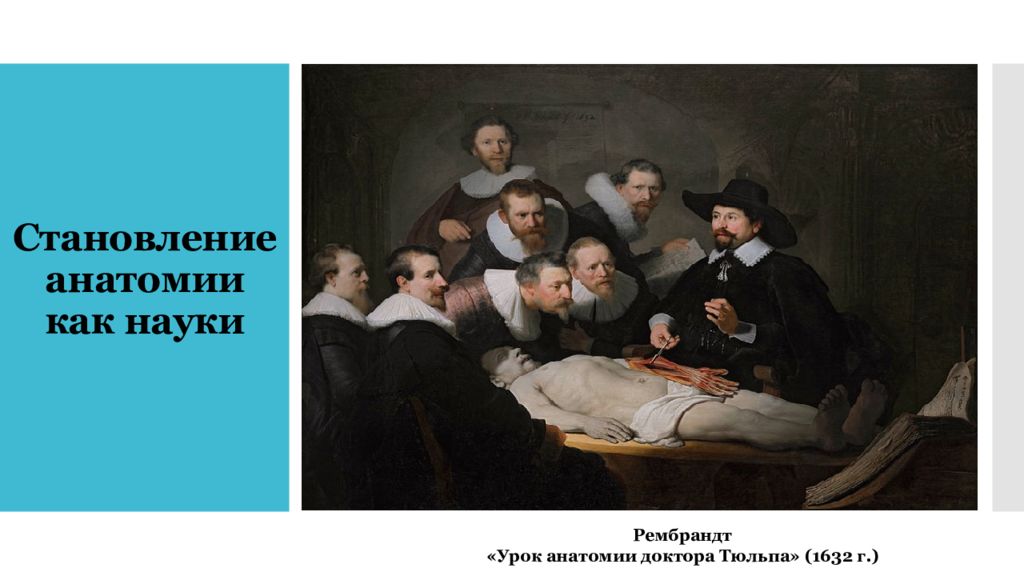 Врачи эпохи возрождения. Рембрандт урок анатомии доктора Тульпа. Становление анатомии как науки. Урок анатомии доктора тюльпа. «Урок анатомии доктора тюльпа», «ночной дозор» и «Синдики»..
