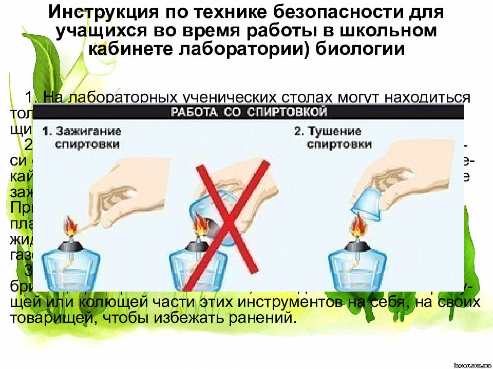 Экология наука о взаимодействии живых организмов егэ. Правила работы в лаборатории 5 класс биология.