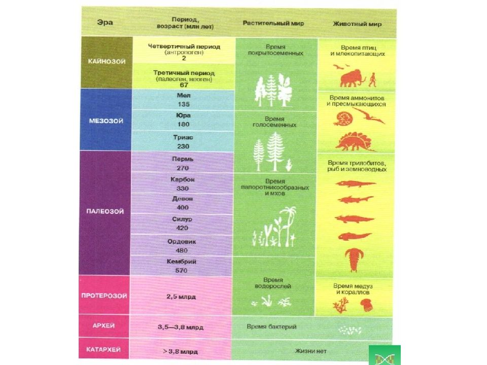 Название эры растения животные таблица. Эры биология. Эры и периоды. Эры таблица по биологии. Геологические эры.