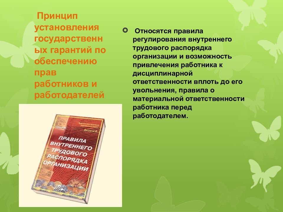 Государственное установление. Установление государственных гарантий. Принцип установление государственных гарантий по обеспечению прав. К принципам трудового права относятся тест. Гос гарантии по обеспечению прав работников и работодателей это.