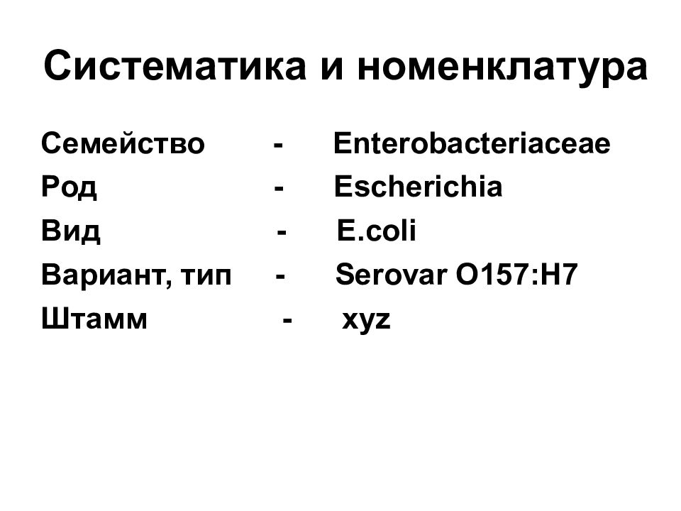 Род вид семейство тип. Систематика и номенклатура микробиология. Эшерихии микробиология таксономия. Систематика микроорганизмов вид род семейство. Систематика, таксономия номенклатура.