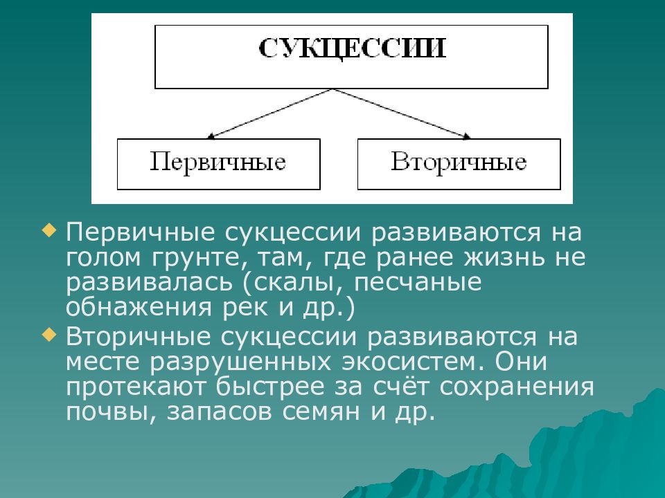 Презентация динамика экосистем