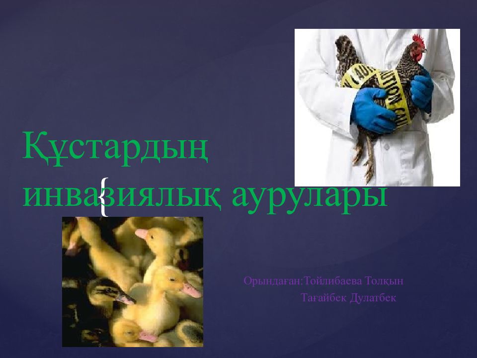Құстардың инвазиялық аурулары