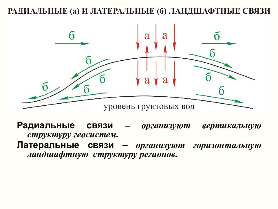 Горизонтальные потоки. Радиальная геохимическая структура. Горизонтальная структура ландшафта схема. Горизонтальная и вертикальная структура ландшафта. Радиальные связи в ландшафте.