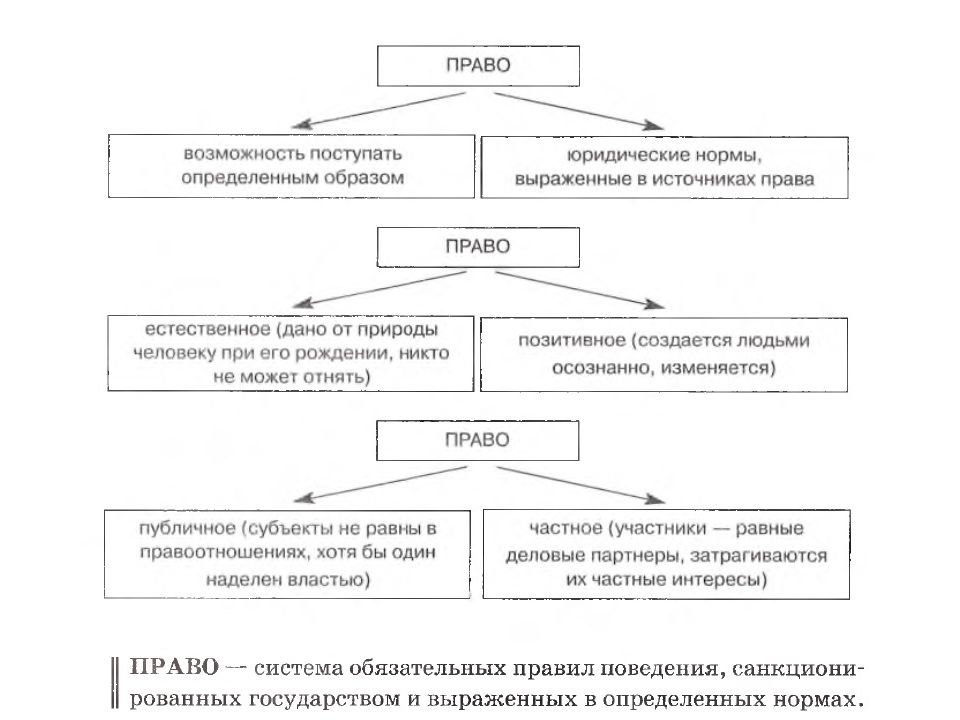 Обществознание в схемах