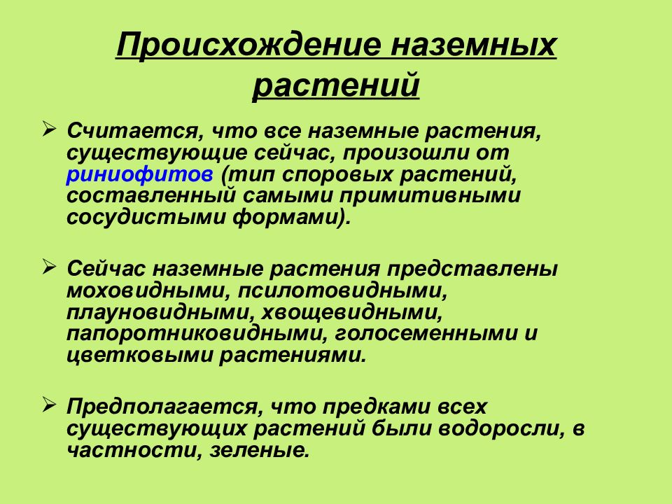 Появление растений. Происхождение наземных растений. Предки наземных растений. Доклад о происхождении растений. Предками наземных растений являются.