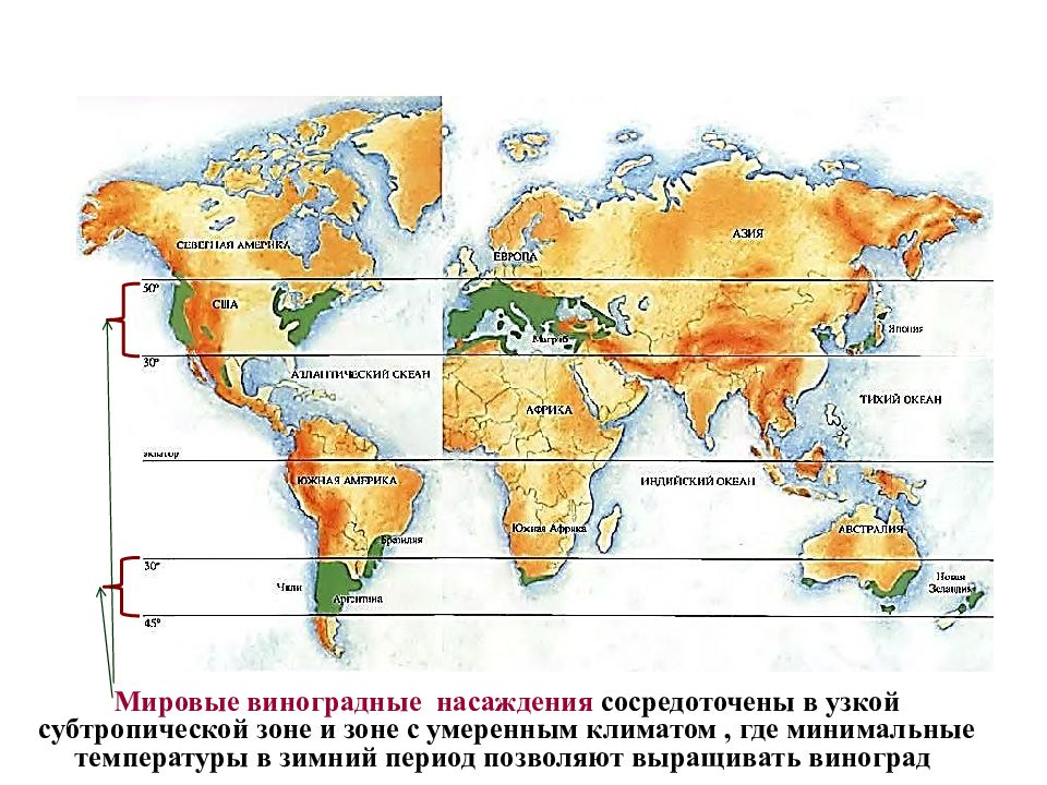 Где минимальная. Крупнейшие равнины мира на карте. Равнины и низменности на карте мира. Равнины на физической карте мира. Крупнейшие равнины мира на контурной карте.