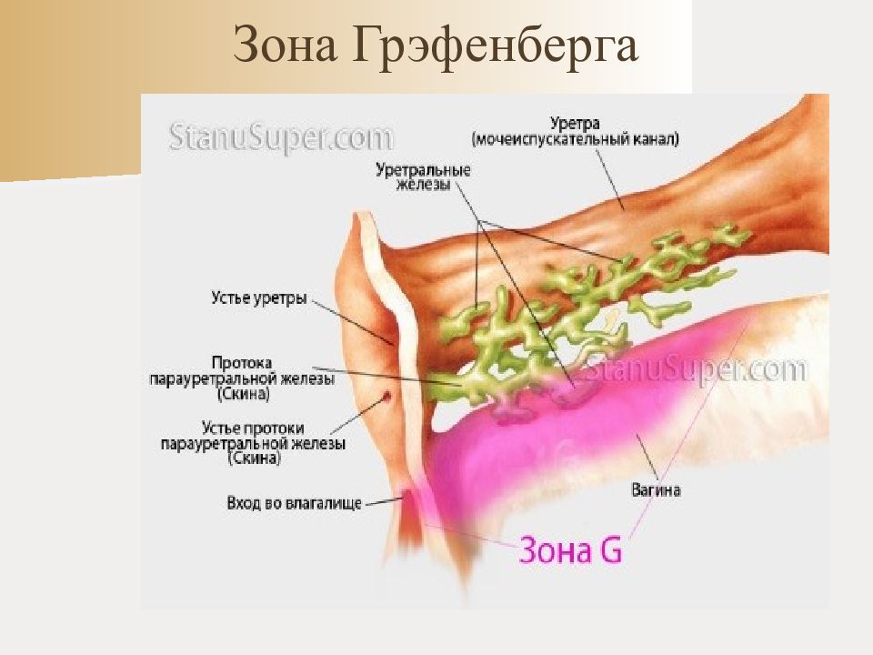 Железа скина