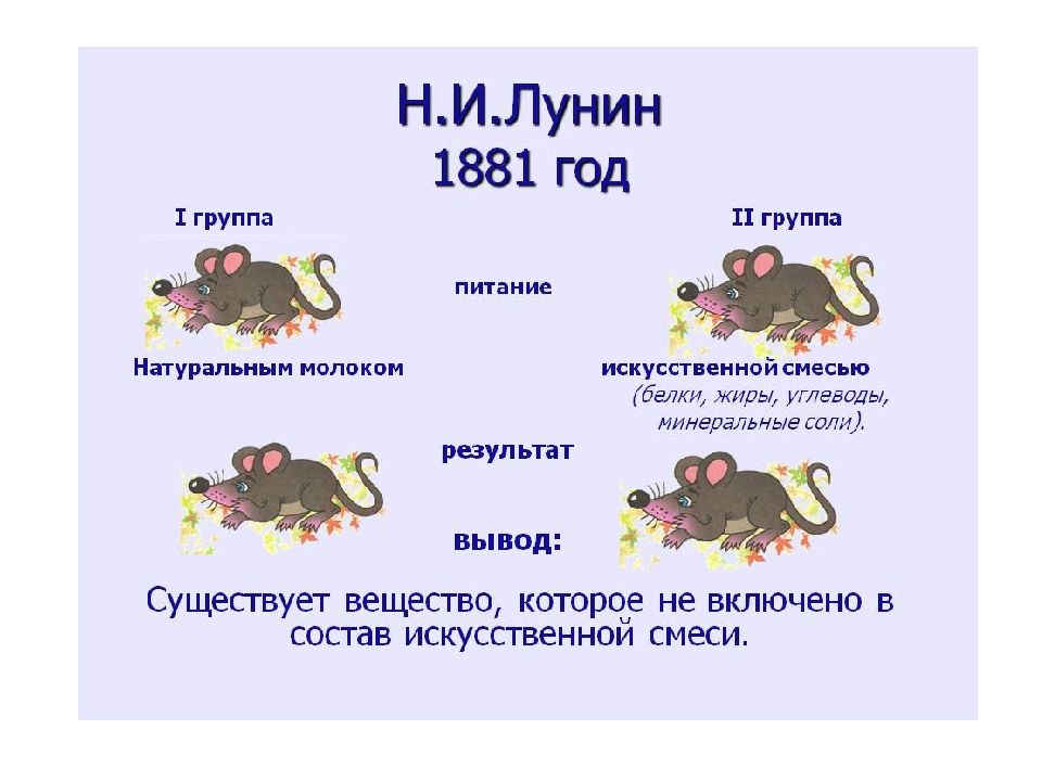 Ферменты витамины презентация 10 класс